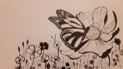 Josie, butterfly meadow.